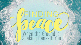 Peace Through Perseverance