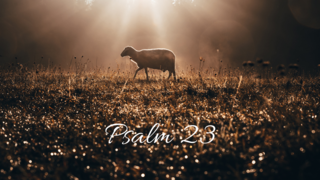 Psalm 23 episode artwork