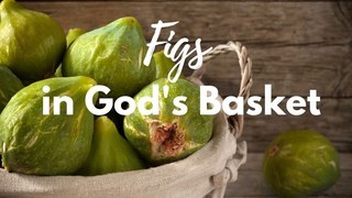 Figs in God's Basket episode artwork