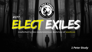 #277 - Elect Exiles - Comforted by the Controversial Doctrine of Election (1 Peter Study)