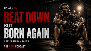 #282 - Beat Down But Born Again—1 Peter Study—Part 4 episode artwork