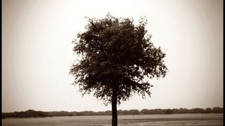 Dealing with Deep Rooted Sin 2