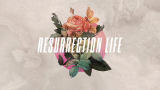 Resurrection Life episode artwork