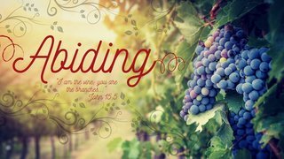 Abiding in the Vine episode artwork