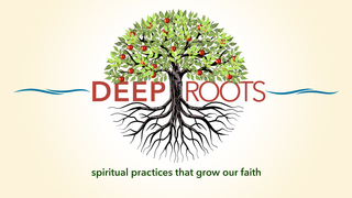 Rooted in Radical Forgiveness