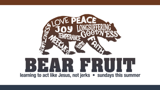 Bear Fruit 4: Patience NOW! episode artwork