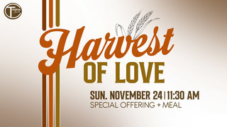 Harvest of Love