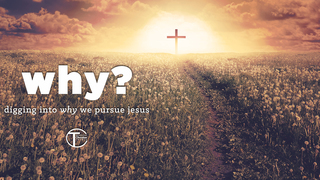 Jesus Likes Me