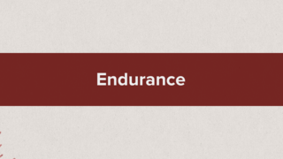 2 Timothy 4:1-8: Endurance episode artwork