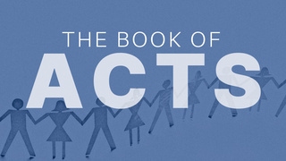 Acts 24