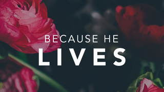 Because He Lives episode artwork