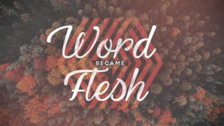 Word Became Flesh: John 16- Jesus Our Comfort episode artwork