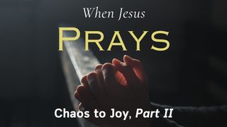 From Chaos to Joy Part 2 From Chaos to Joy Part 2