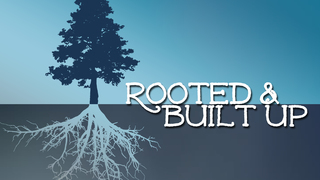 Rooted & Built Up
