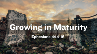 Growing in Maturity