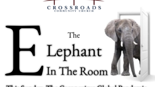 The Elephant In The Room - The Coronoavirus Global Pandemic episode artwork