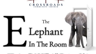 The Elephant In The Room: We Are NOT Ok!