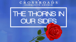 The Thorns In Our Sides: Almost 25 Years of Thorns episode artwork