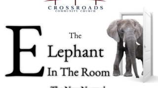 The Elephant In The Room - The New Normal episode artwork