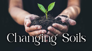 Reaping a Harvest