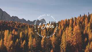 How a Christian Should Address Their Sin (SR)
