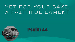 Yet for Your Sake: A Faithful Lament