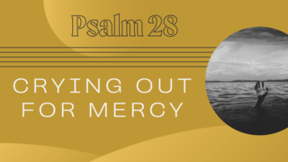 Crying Out for Mercy