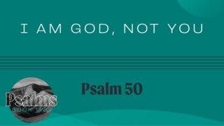 I Am God, Not You