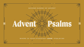 Where Is Your Steadfast Love?