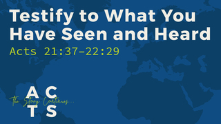 Testify to What You Have Seen and Heard