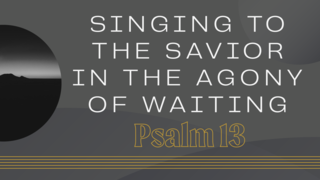 Singing to the Savior in the Agony of Waiting