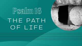 The Path of Life