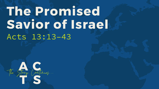 The Promised Savior of Israel