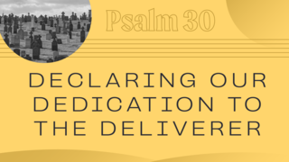 Declaring Our Dedication to the Deliverer