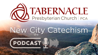 Question #17 (feat. John McCall)