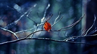 Faith CRC worship service Jan 5, 2025