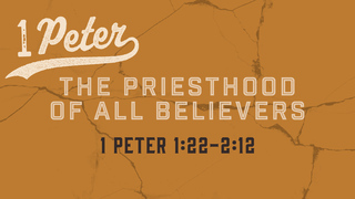 1 Peter 1:22-2:12, "The Priesthood of All Believers"