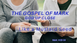 Like a Mustard Seed