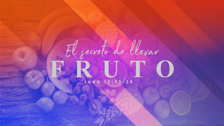 Portada de MDZ Church