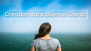 Portada de MDZ Church