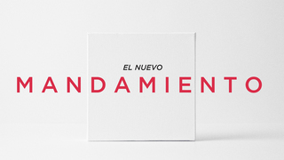 Portada de MDZ Church