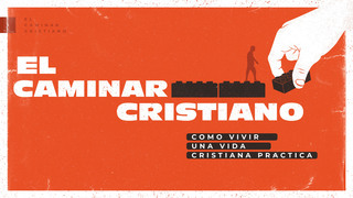 Portada de MDZ Church