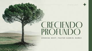 Portada de MDZ Church