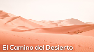 Portada de MDZ Church