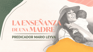 Portada de MDZ Church