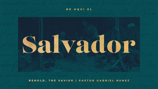 MDZ Church (Sermons)