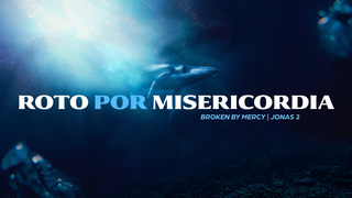 Portada de MDZ Church