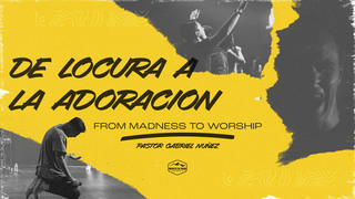 Portada de MDZ Church