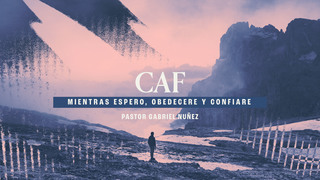 Portada de MDZ Church