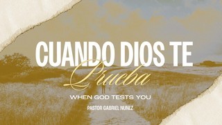 Portada de MDZ Church